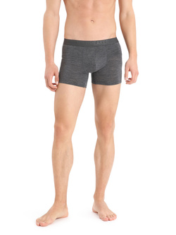 Bokserki Icebreaker Anatomica Cool-lite szare