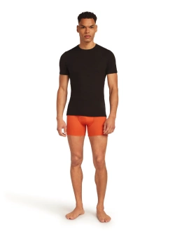 Bokserki Icebreaker Merino 150 Anatomica, pomarańczowe