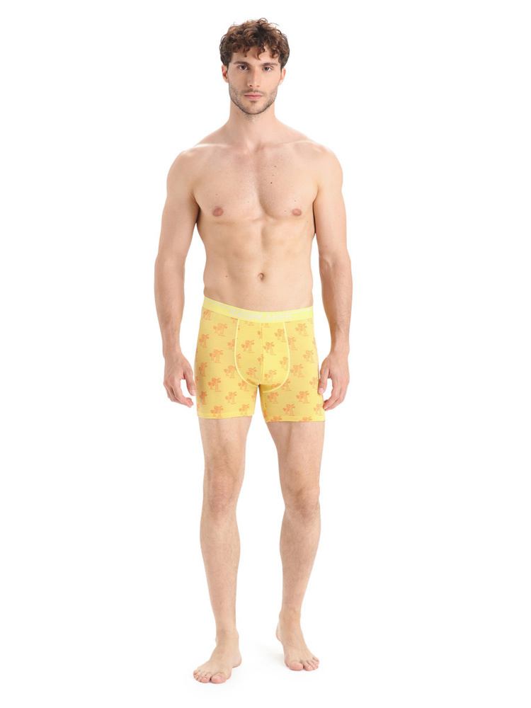 Bokserki Icebreaker Anatomica Boxers żółte