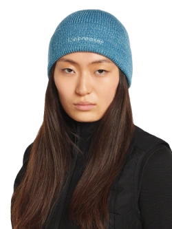 Czapka Icebreaker Merino All Day Toque niebieska
