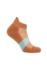 Skarpety termoaktywne damskie Icebreaker Multisport Light Micro pomarańczowo-niebieskie