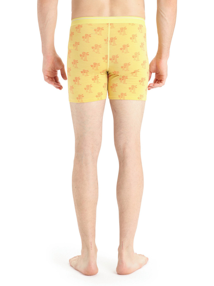 Bokserki Icebreaker Anatomica Boxers żółte