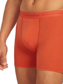 Bokserki Icebreaker Merino 150 Anatomica, pomarańczowe