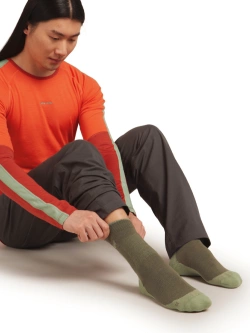 Skarpety termoaktywne Icebreaker Merino Hike+ Medium Crew zielone