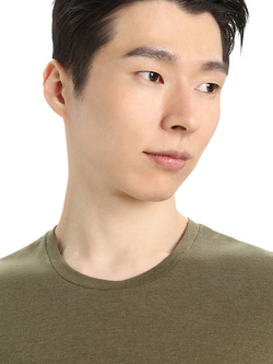 Koszulka z krótkim rękawem Icebreaker Central Classic SS Tee zielona