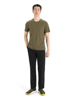 Koszulka z krótkim rękawem Icebreaker Central Classic SS Tee zielona