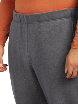 Spodnie termoaktywne Icebreaker Merino Blend 800 RealFleece Classic Pile Pants szare