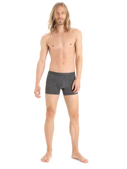Bokserki Icebreaker Anatomica Cool-lite szare