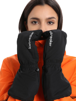 Rękawiczki Icebreaker MerinoLoft Mittens