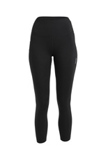 Legginsy damskie Icebreaker 260 Fastray II 25" High Rise Tights czarna