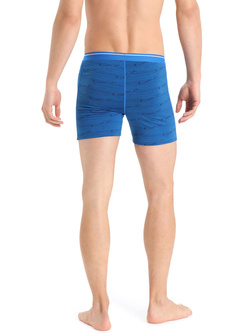 Bokserki Icebreaker Anatomica Boxers niebieskie z wzorkiem