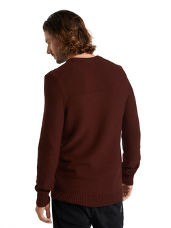 Sweter męski Icebreaker Waypoint Crewe Sweater brązowy